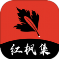 麻豆网站APP应用